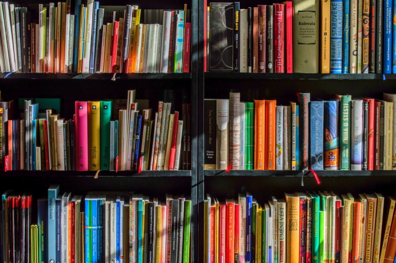 ecommerce-MAZAUGUES-min_books_bookstore_book_reading_shop_writer_sale_books_read-822866